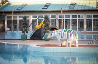 bazény lázní Fexum