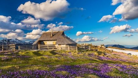 rozkvetlá Velika Planina 