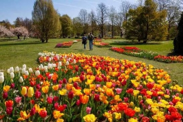 Arboretum