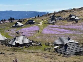 rozkvetlá Veliká Planina